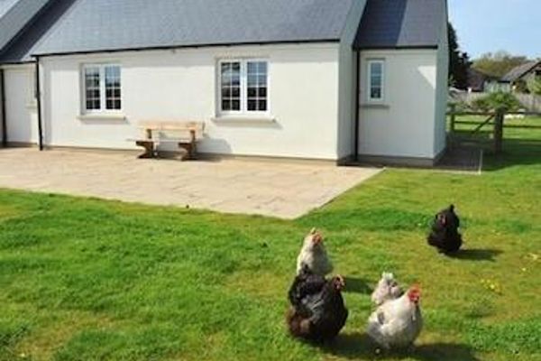 The Paddock (Wales)